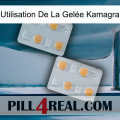 Utilisation De La Gelée Kamagra 25